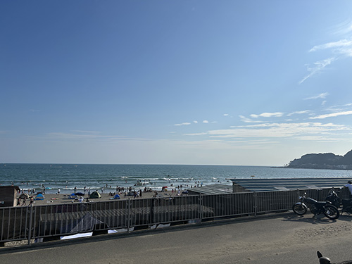 ogawa