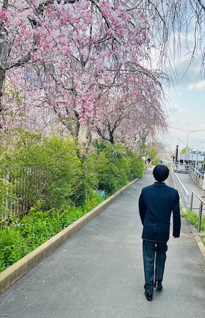 watanabe